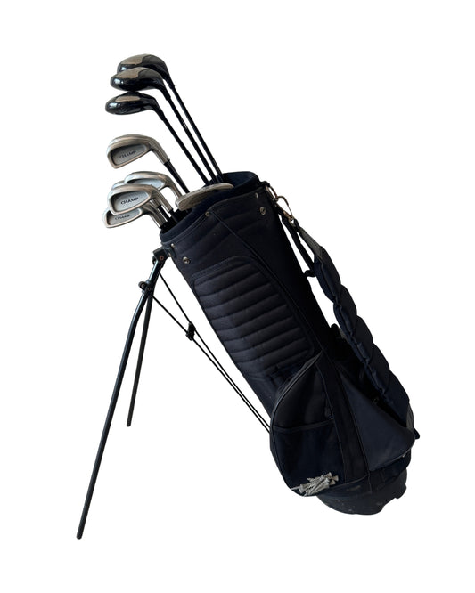 Champ Komplettsatz 4–SW + Driver/3W/5W + Putter / Champ Graphitschäfte / Flex R